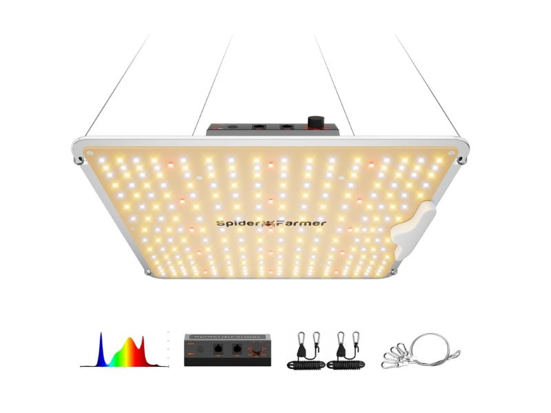 Spider Farmer SF1000 100W LED Grow Light