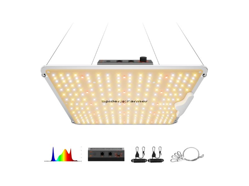 Spider Farmer SF1000 100W LED Grow Light