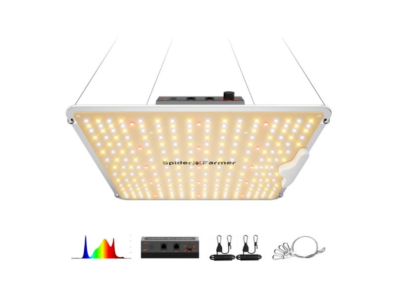 Spider Farmer SF1000 Full-Spectrum Dimmable LED Grow Light
