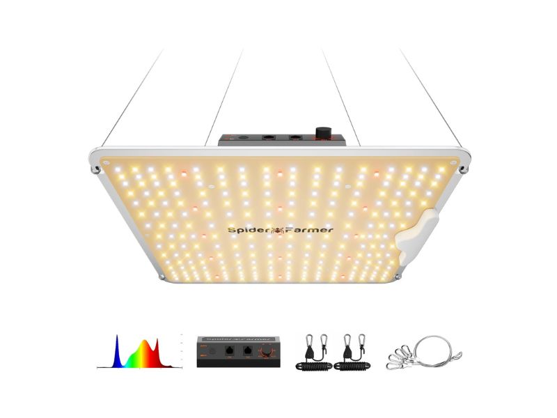 Spider Farmer SF1000 LED Grow Light