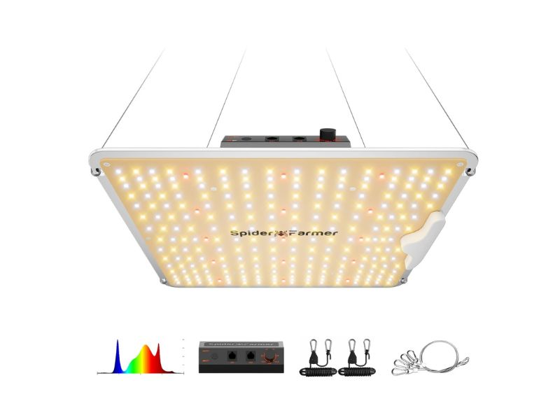 Spider Farmer SF1000 LED Grow Light