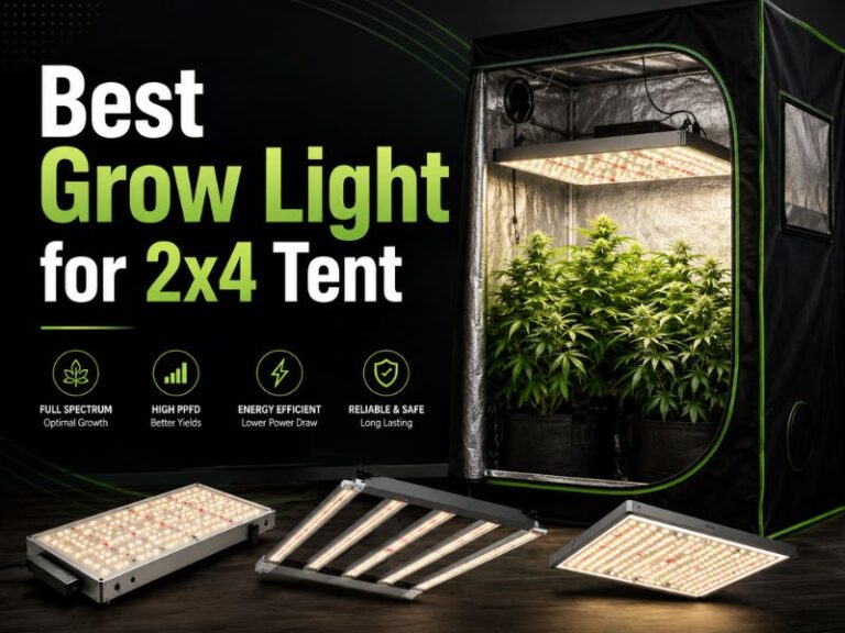 Best Grow Light for 2x4 Tent: 5 Efficient Full-Spectrum LEDsBest Grow Light for 2x4 Tent: 5 Efficient Full-Spectrum LEDs