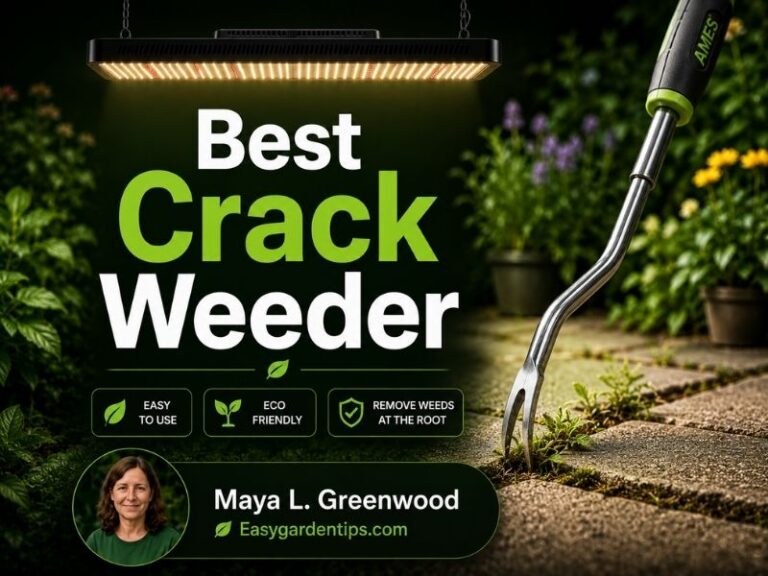 Best Crack Weeder Tools for Patios, Pavers, and Driveway Gaps