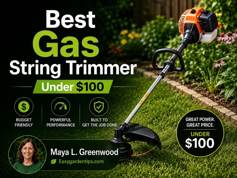 Best Gas String Trimmer Under $100: Budget Picks That Work