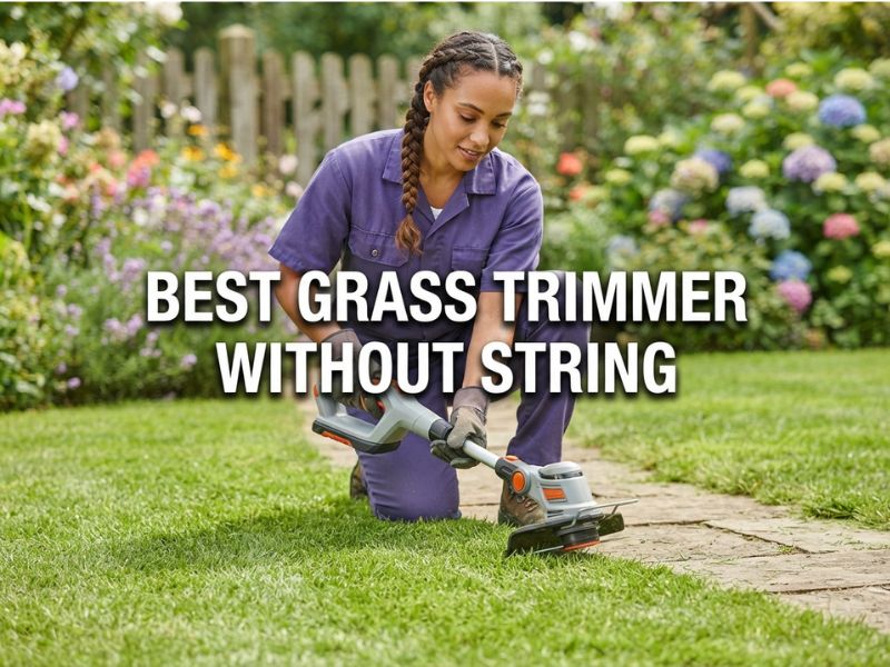 Best Grass Trimmer Without String: Blade-Based Picks