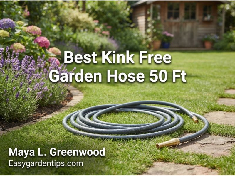 Best Kink Free Garden Hose 50 Ft: Flexible, Durable Picks