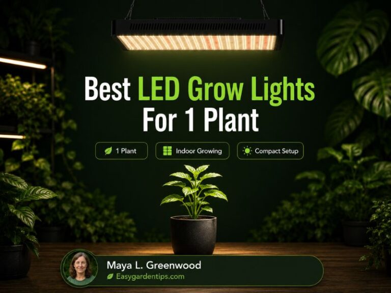 Best LED Grow Lights for 1 Plant for Focused Indoor Growth