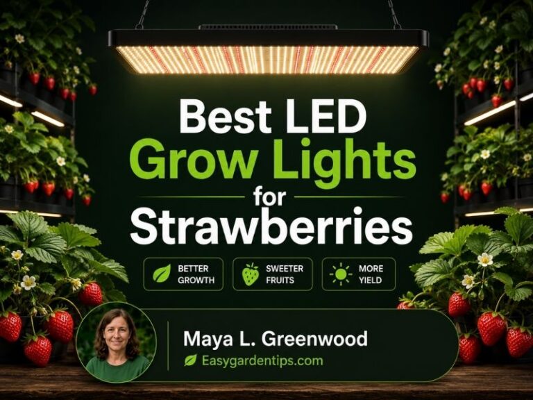 Best LED Grow Lights for Strawberries for Indoor Fruiting