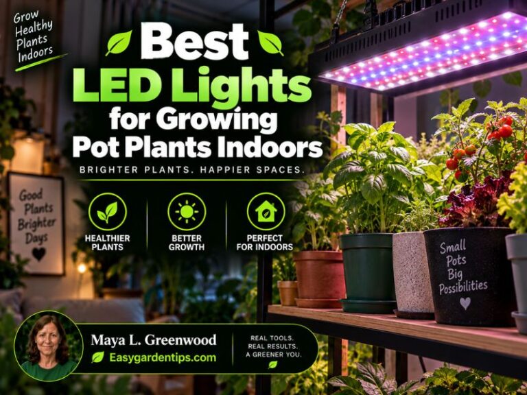 Best LED Lights for Growing Pot Plants Indoors