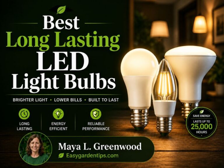 Best Long Lasting LED Light Bulbs for Years of Reliable Use