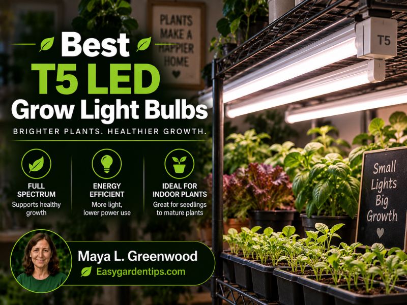 Best T5 LED Grow Light Bulbs for Indoor Plant Shelves