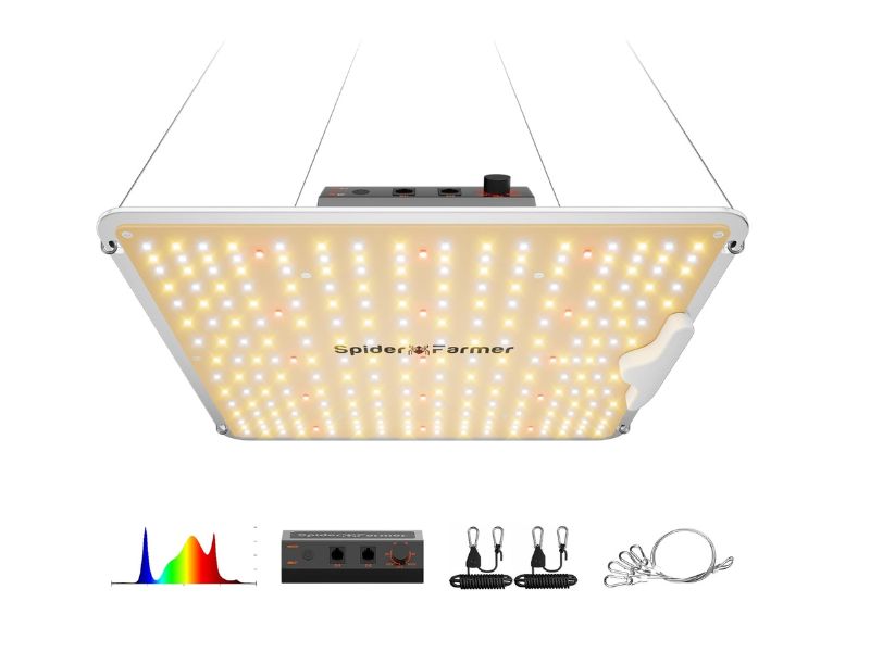 Spider Farmer SF1000 100W LED Grow Light