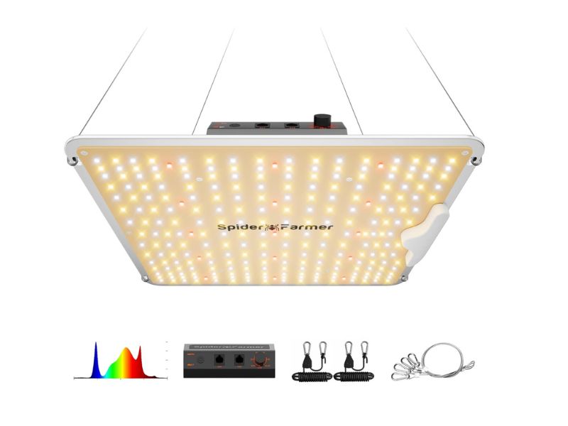 Spider Farmer SF1000 100W LED Grow Light