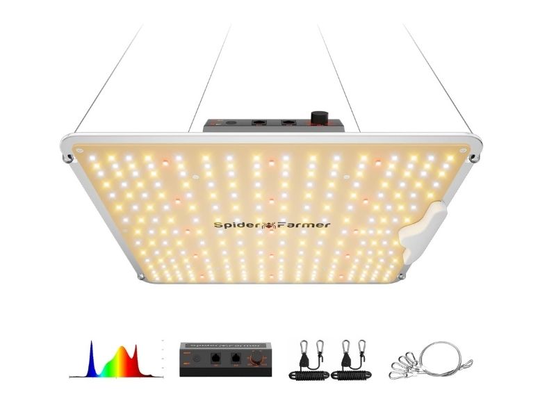 Spider Farmer SF1000 100W LED Grow Light
