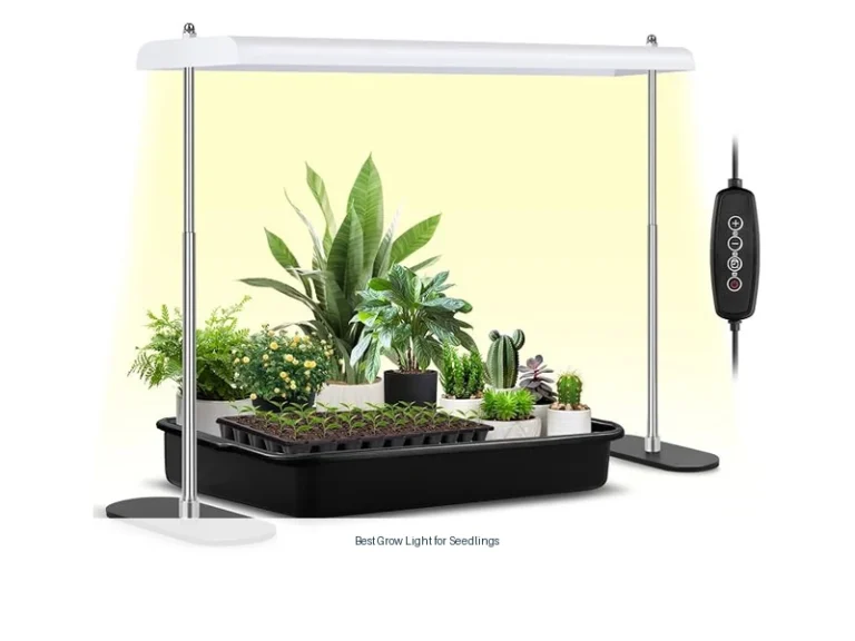 best grow light for seedlings