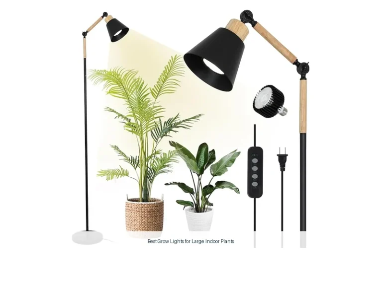 best grow lights for large indoor plants