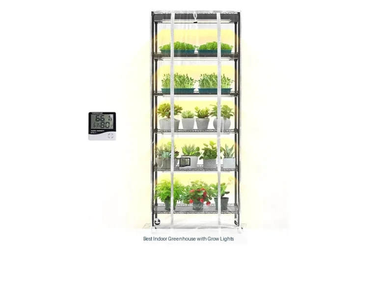 best indoor greenhouse with grow lights