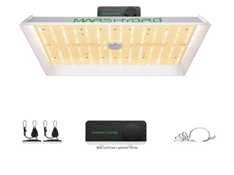 best led grow lights for herbs