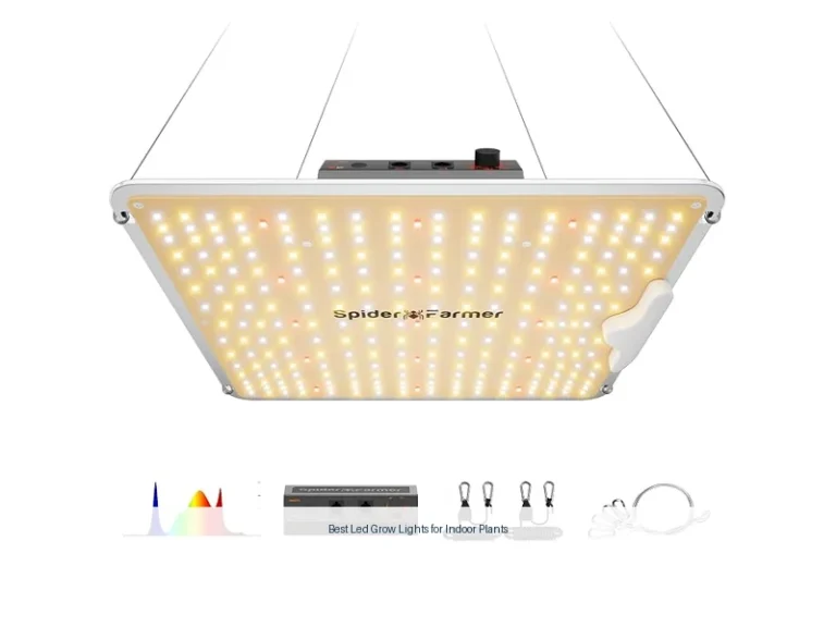 best led grow lights for indoor plants