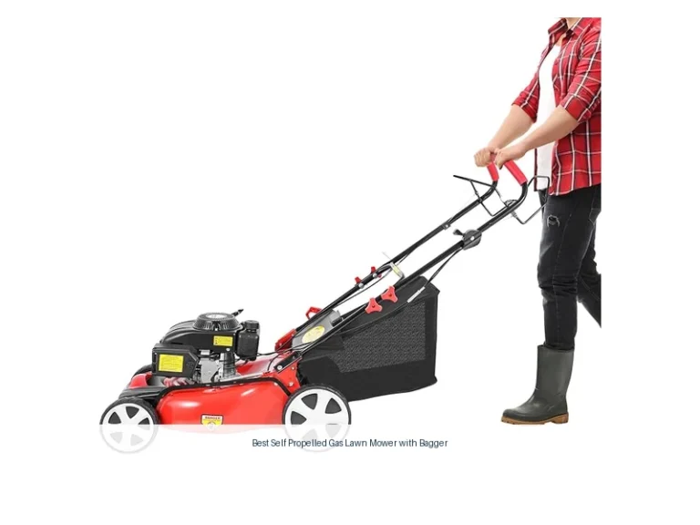 best self propelled gas lawn mower with bagger