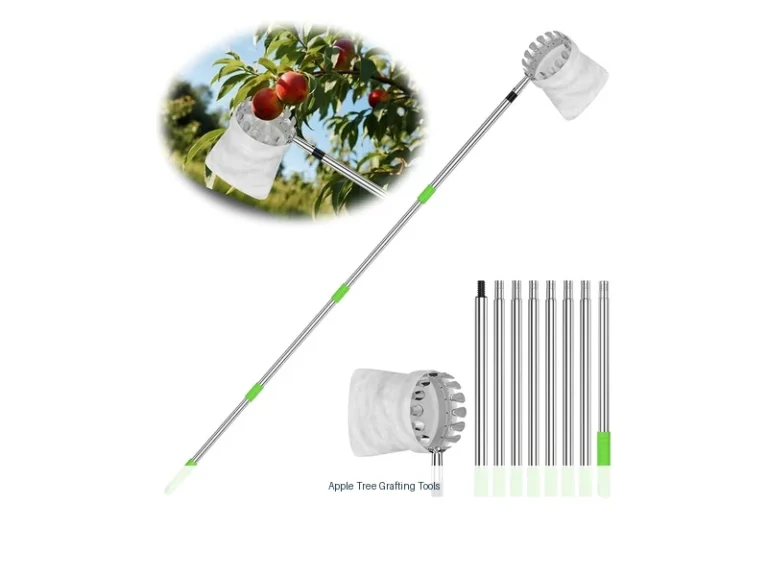 apple tree grafting tools