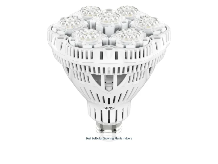 best bulbs for growing plants indoors
