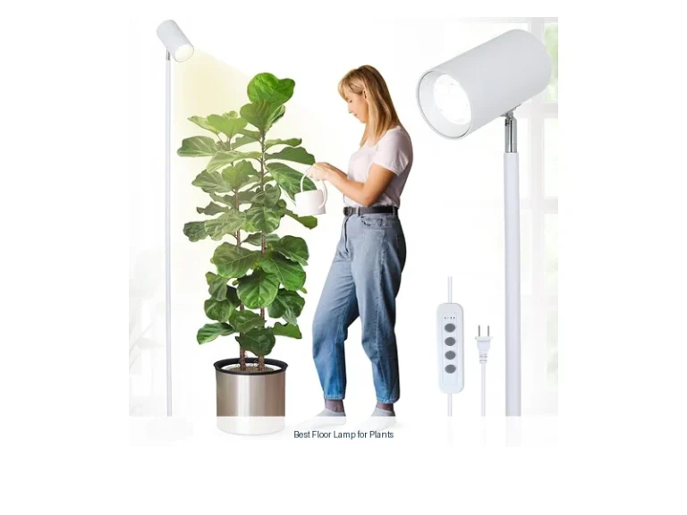 best floor lamp for plants