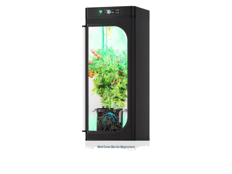 best grow box for beginners