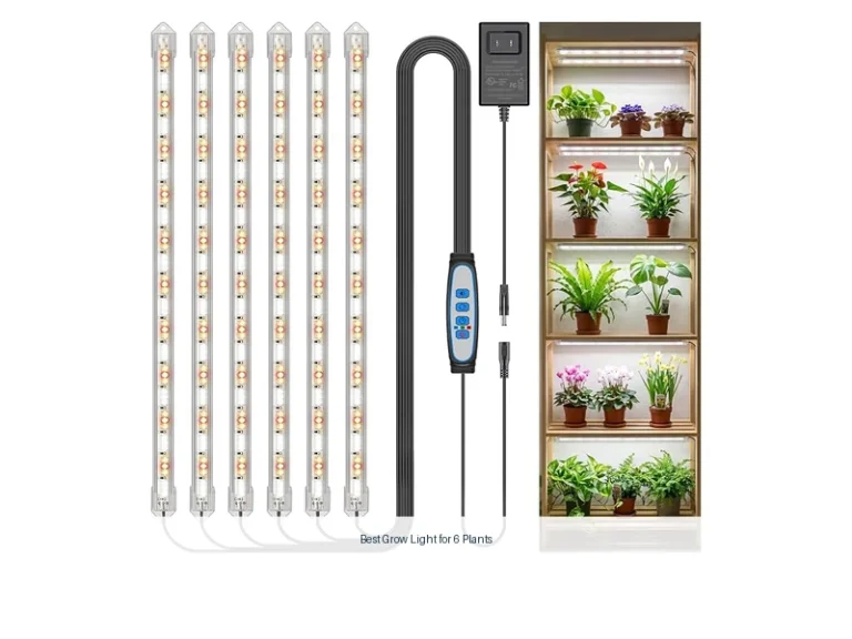 best grow light for 6 plants