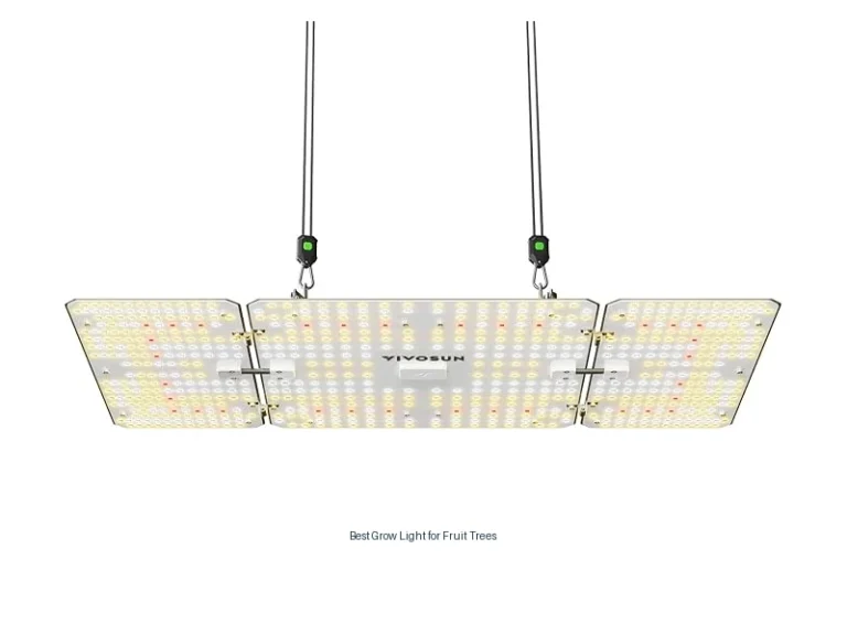 best grow light for fruit trees