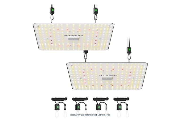 best grow light for meyer lemon tree