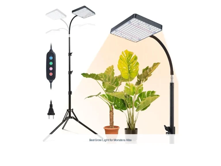 best grow light for monstera albo