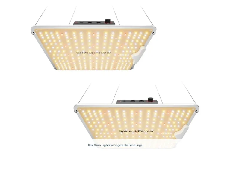 best grow lights for vegetable seedlings