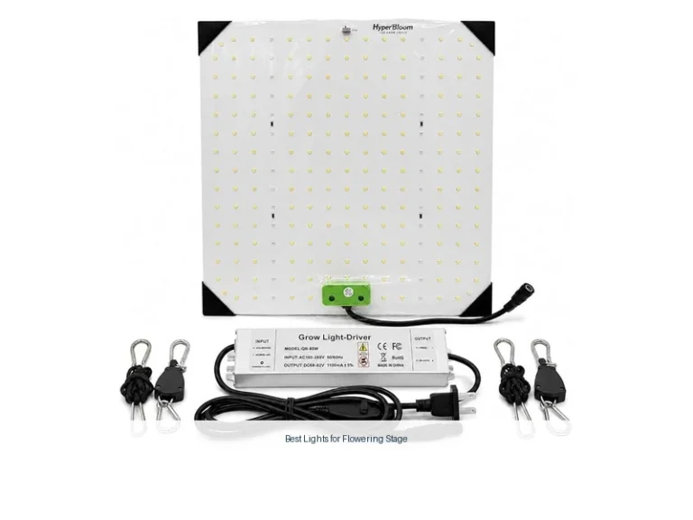 best lights for flowering stage