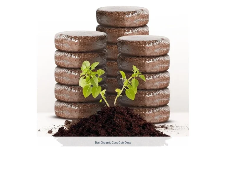 best organic coco coir discs