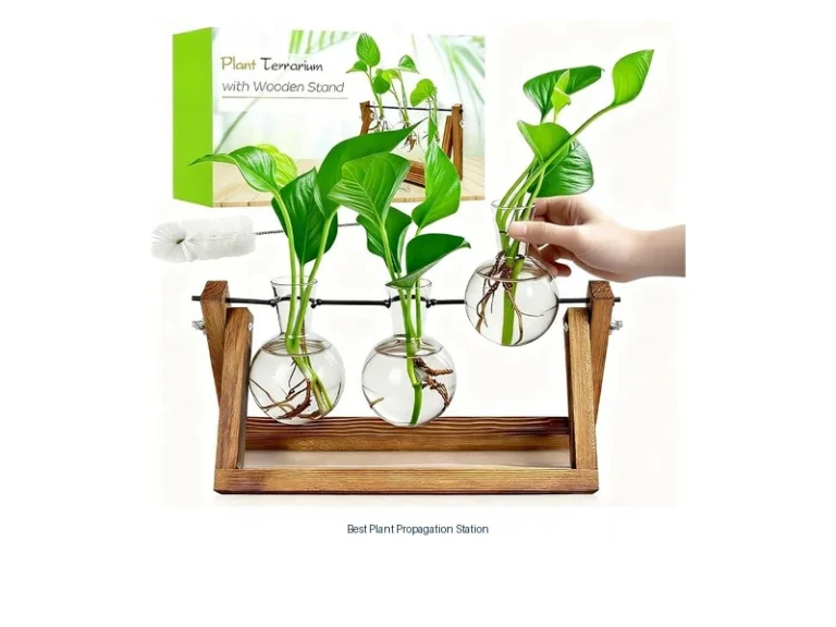best plant propagation station