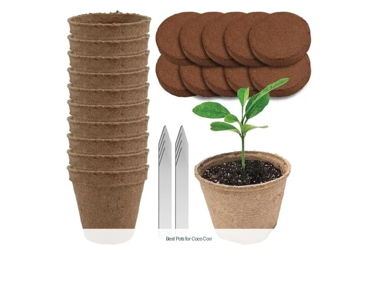 best pots for coco coir