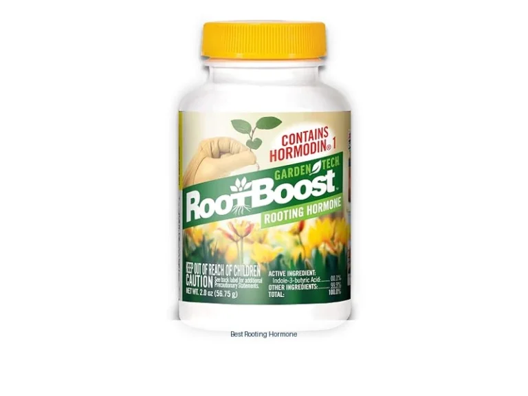 best rooting hormone