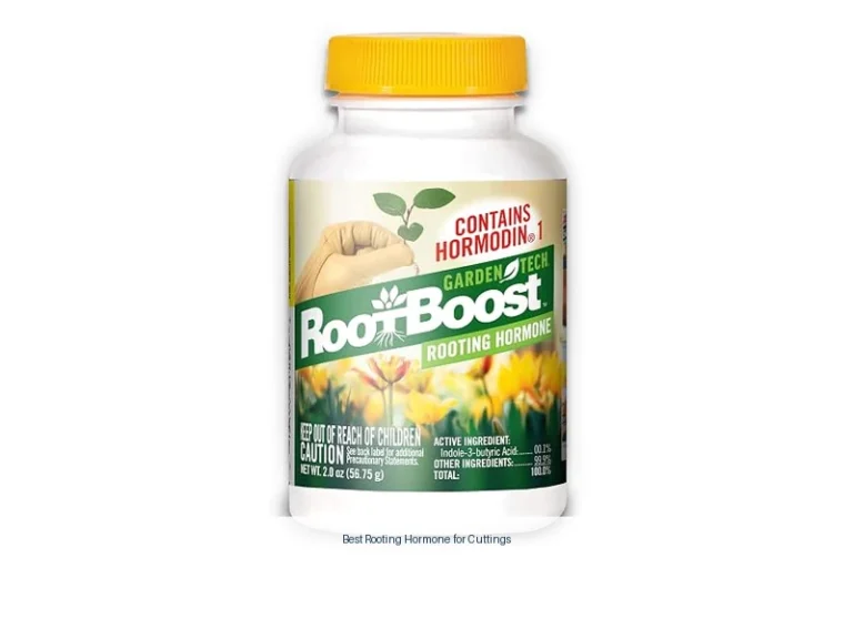 best rooting hormone for cuttings