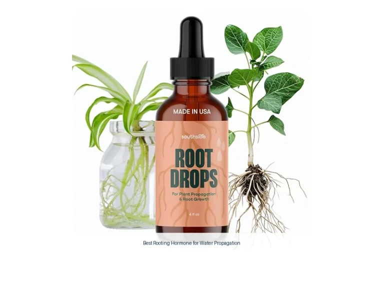 best rooting hormone for water propagation