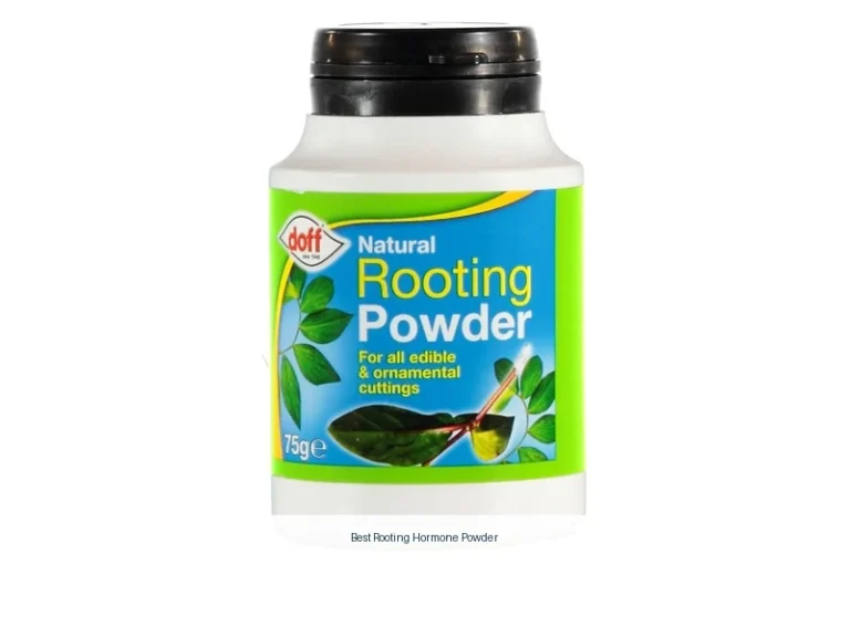 best rooting hormone powder