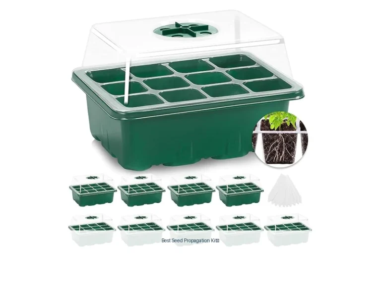 best seed propagation kit​