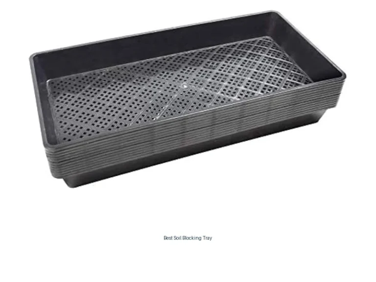 best soil blocking tray