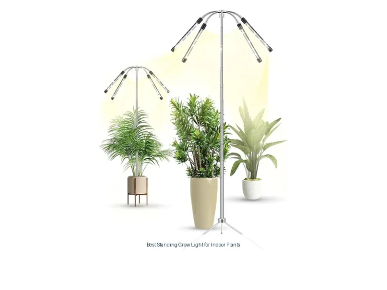 best standing grow light for indoor plants