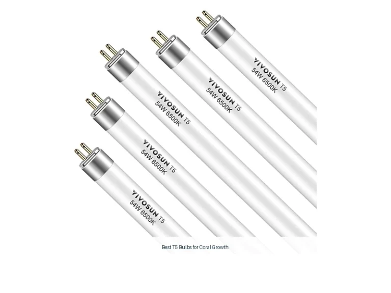 best t5 bulbs for coral growth