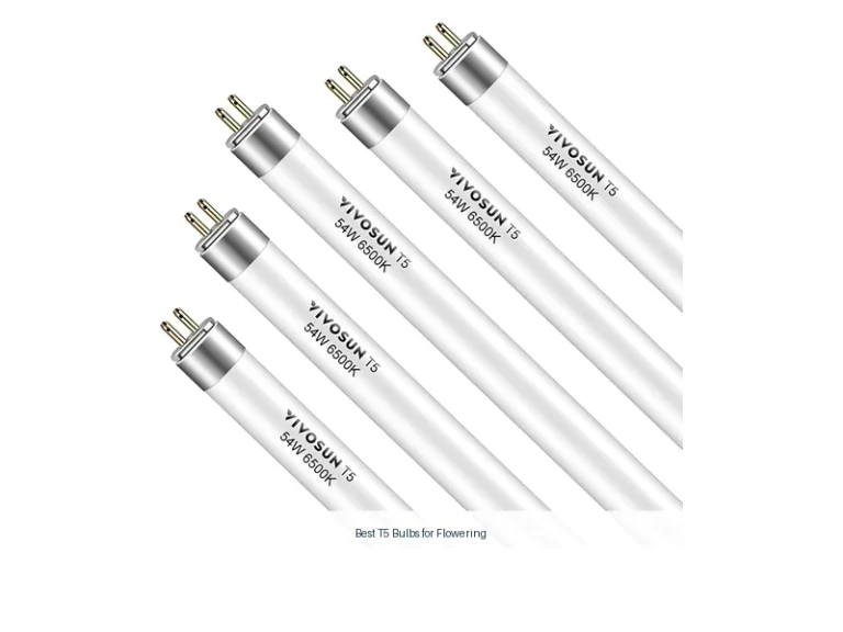 best t5 bulbs for flowering
