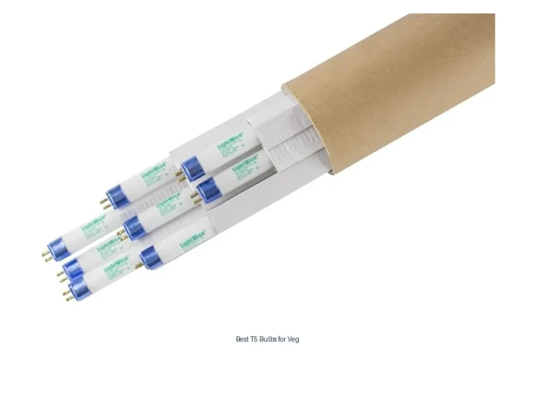 best t5 bulbs for veg