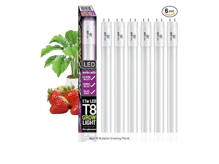 best t8 bulbs for growing plants