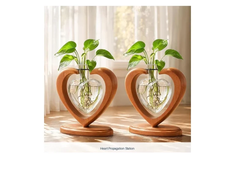 heart propagation station