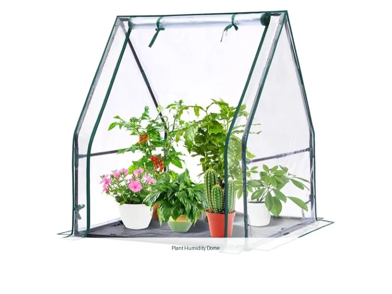 plant humidity dome